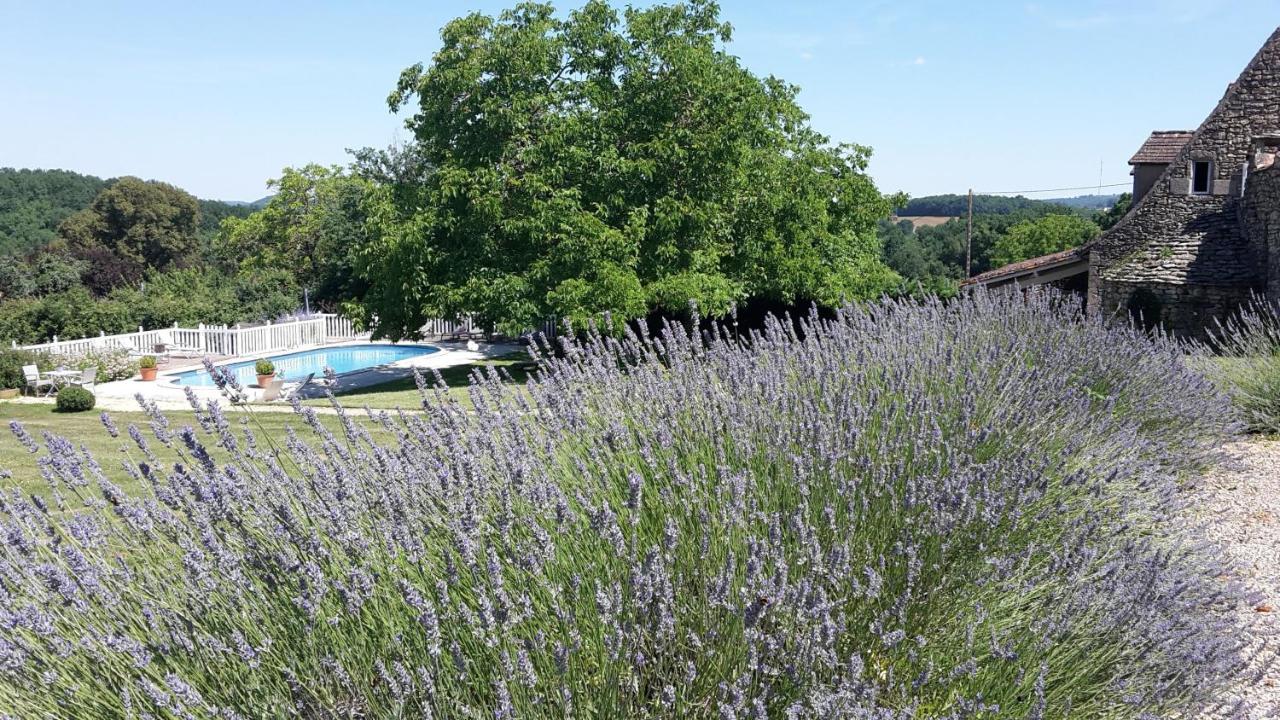 Le Clos-Lascazes Maison D'Hotes Le Buisson-de-Cadouin Kültér fotó